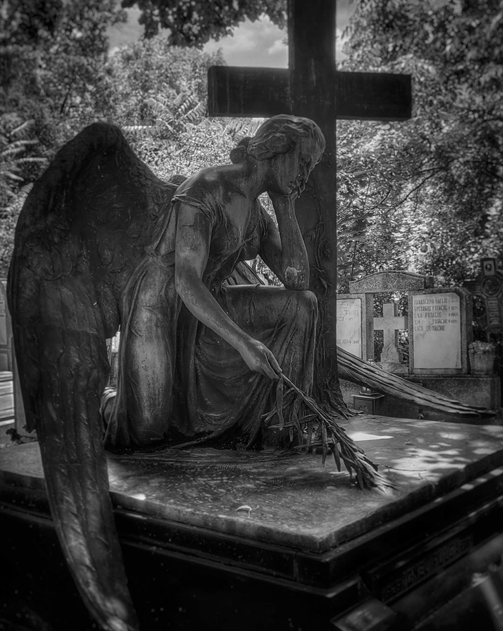 Bellu Angel